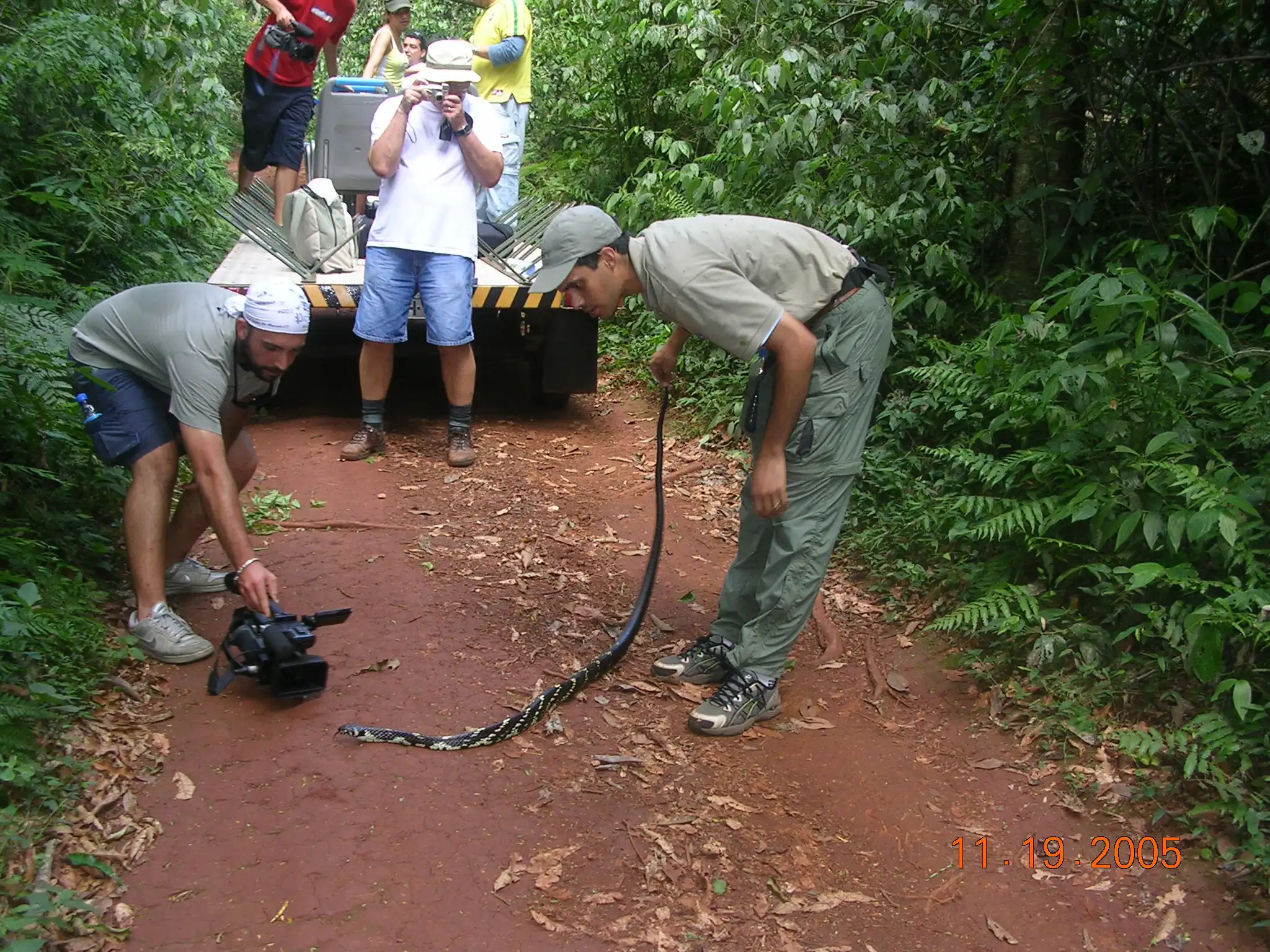 Caninana Filmada